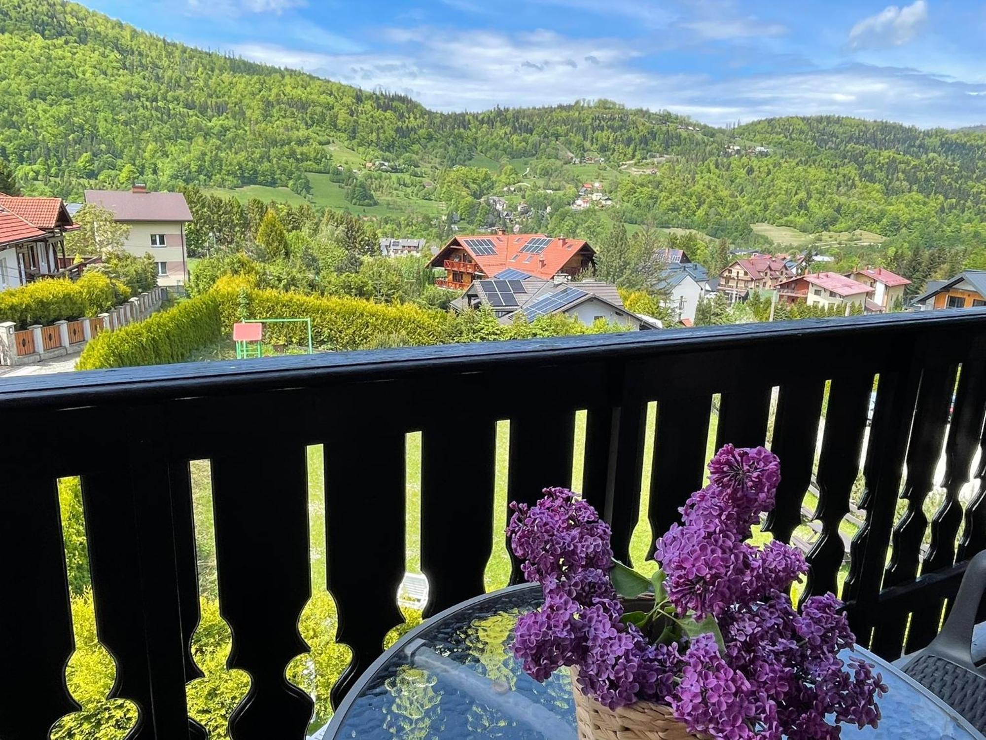 Sasanka Przy Gondoli Bed & Breakfast