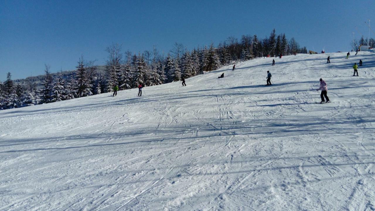 Sasanka Przy Gondoli Szczyrk